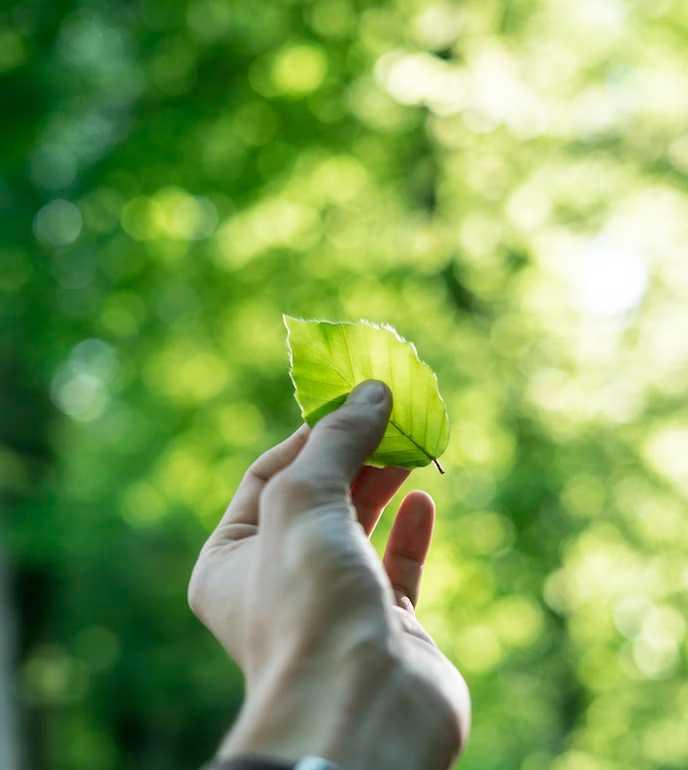 sustainability-2.jpg